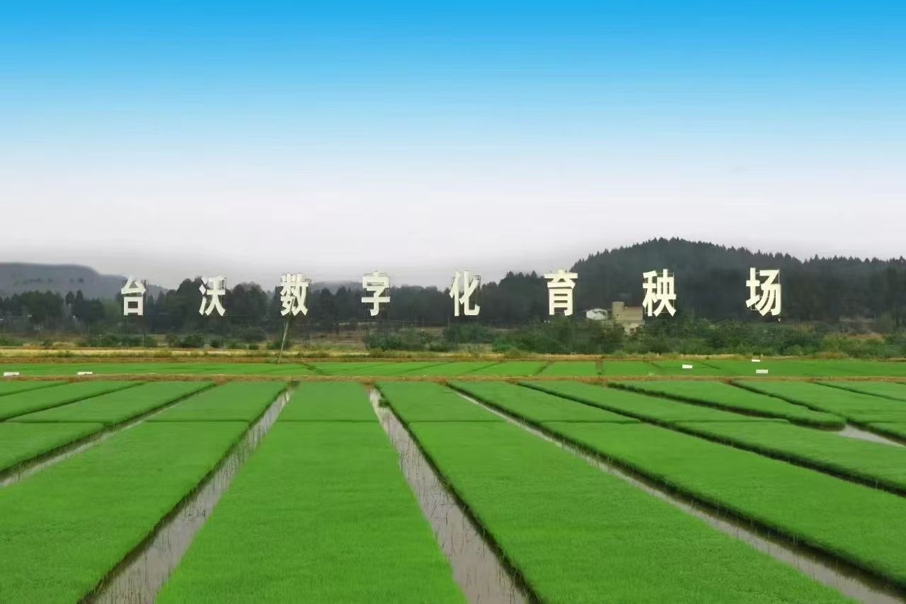 绿色耕耘4.jpg