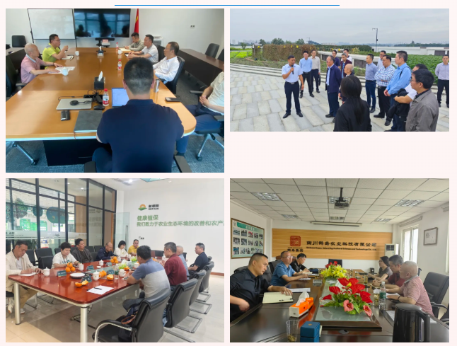 微信图片_20260610131524_33_9.png